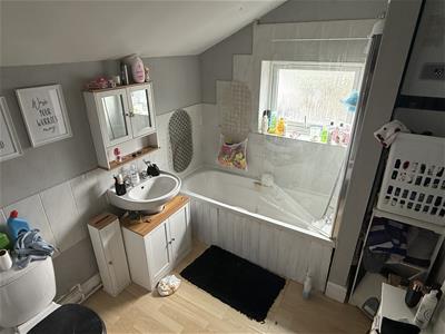 Picture 14